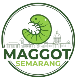 img 20250930 wa0020 removebg preview