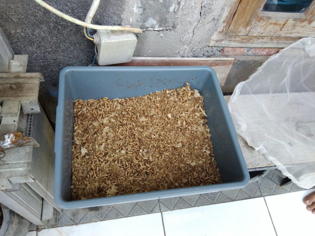 gambar whatsapp 2025 09 30 pukul 10.29.02 c2d6b6d1